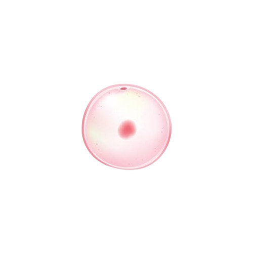 1 week zwanger 1 week zwanger